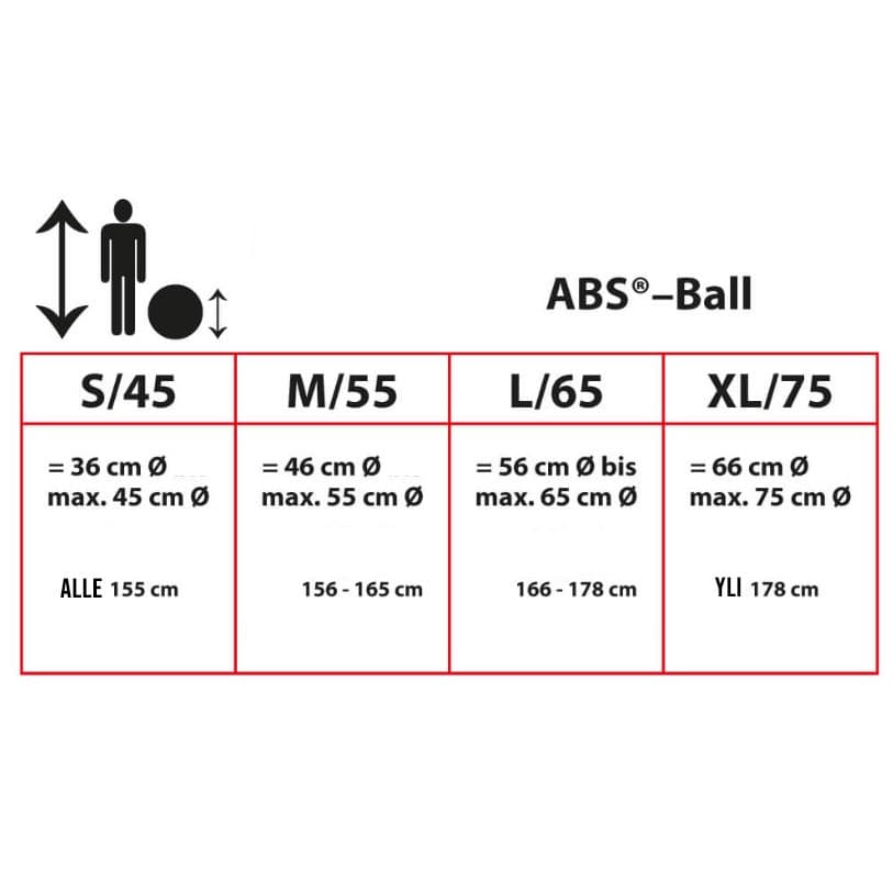 Togu Powerball® Premium ABS® - silver 55 cm