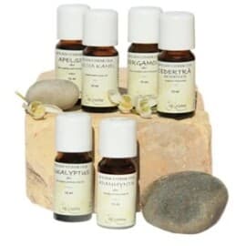 Crearome Palo Santo 5 ml