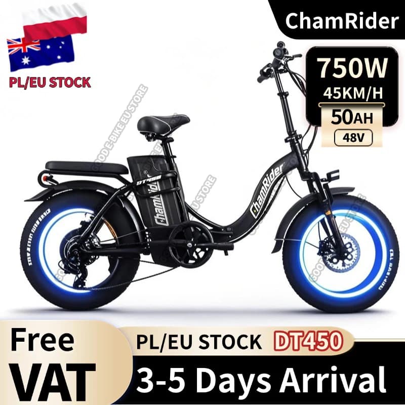 ChamRider DT450 Ebike - 48V50AH Monster Battery, 250KM Epic Range & 750W Power - Ultimate Pick for European Delivery Experts