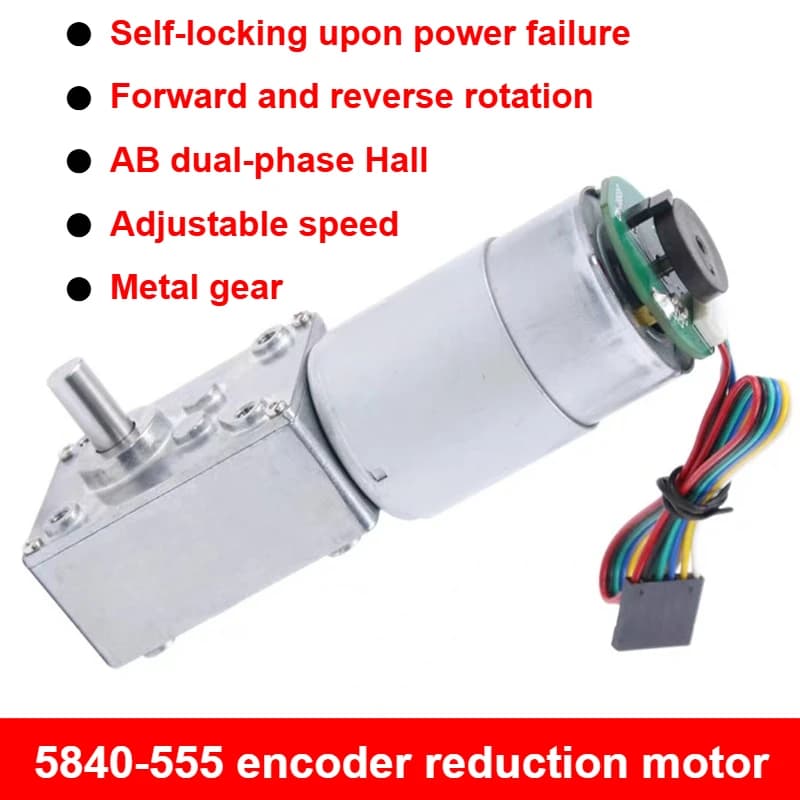 Worm Gear and Worm Single/Double Shaft 5840-555 High Torque DC 12V 24V Worm Gear Electric Motor With Encoder