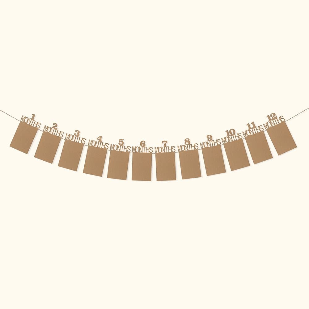 Henkilökohtainen yhden vuoden valokuva Banner Kuukausittainen valokuva syntymäpäivä banneri