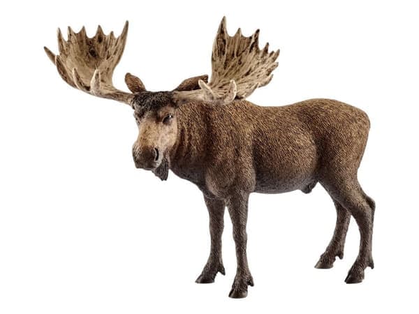 schleich WILD LIFE 14781, 3 vuosi/vuosia, Forest, Wild animals / adventure toys, Monivärinen, Muovi, 1 kpl