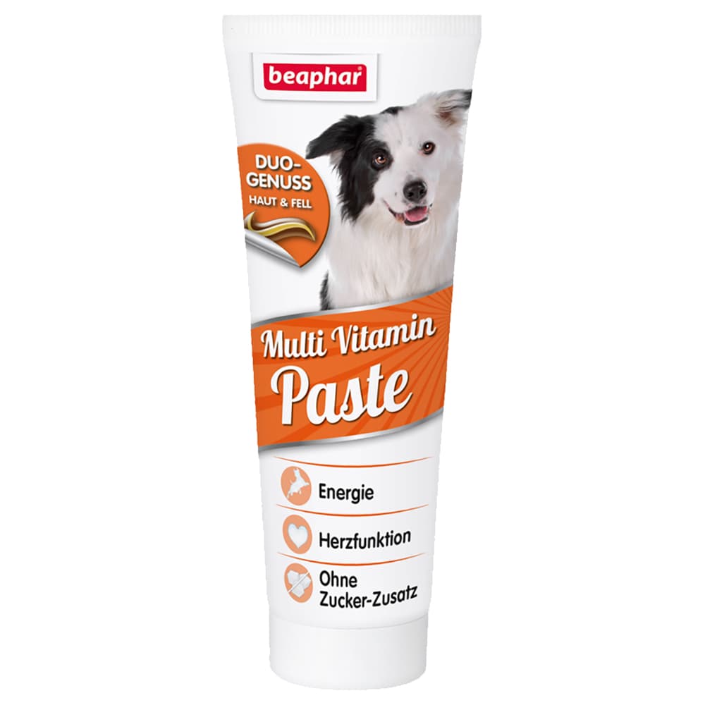 250g Multi Vitamin Paste with Biotin beaphar koiralle