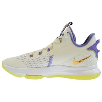 Kengät Nike  Lebron Witness V  46