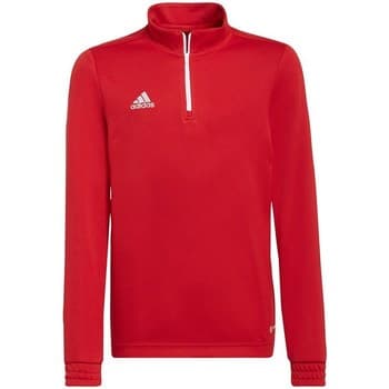 Svetarit adidas  Entrada 22 Track  EU XS