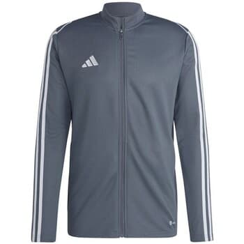 Svetarit adidas  Tiro 23 League Training  EU M