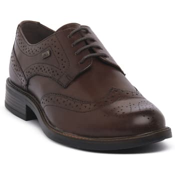 Kengät Valleverde MARRONE 36