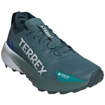 Kengät adidas  Terrex Agravic Gtx  42