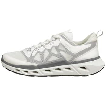 Kengät Ecco  Biom 720  45