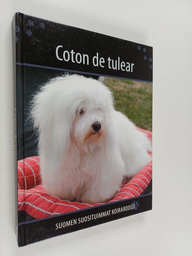 Coton de tulear