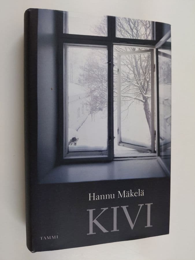 Hannu Mäkelä : Kivi : romaani