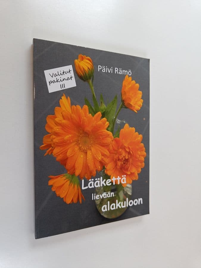 Päivi Rämö : Lääkettä lievään alakuloon