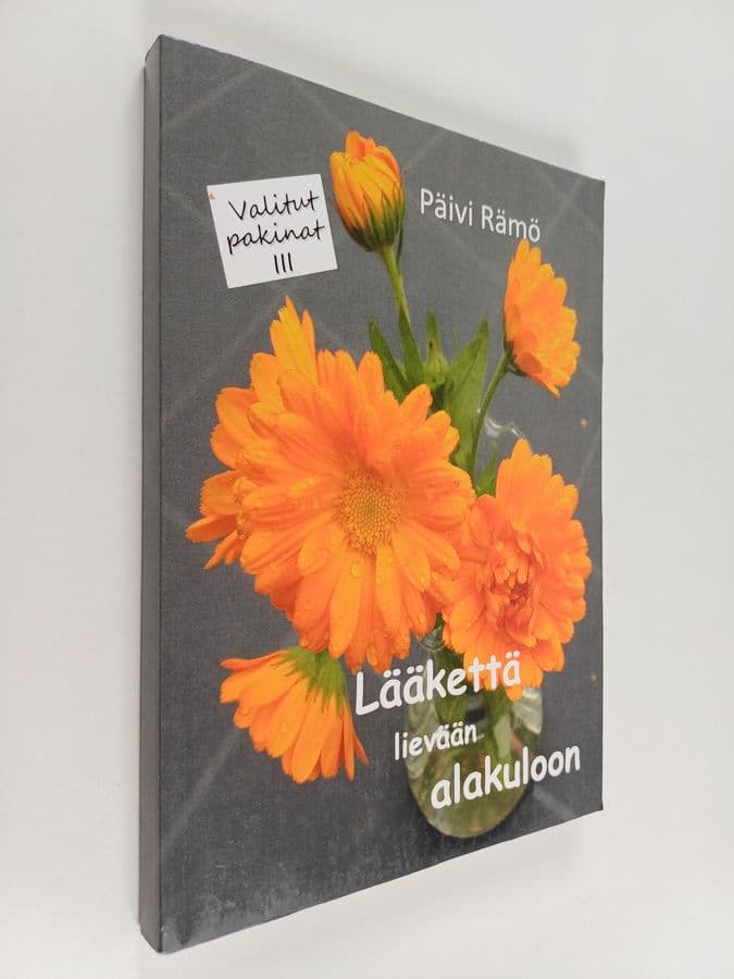 Päivi Rämö : Lääkettä lievään alakuloon