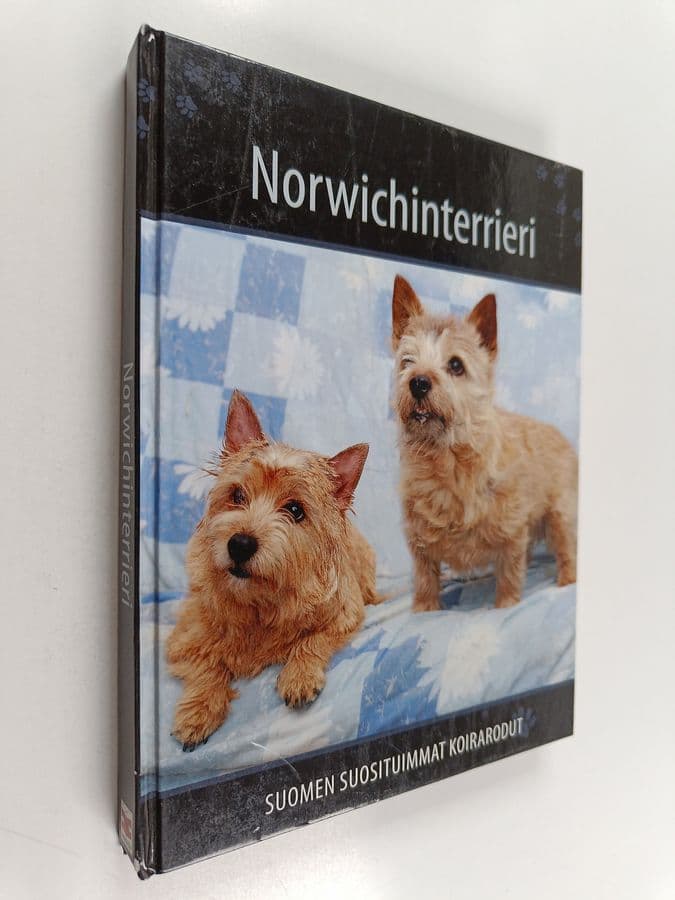 Norwichinterrieri
