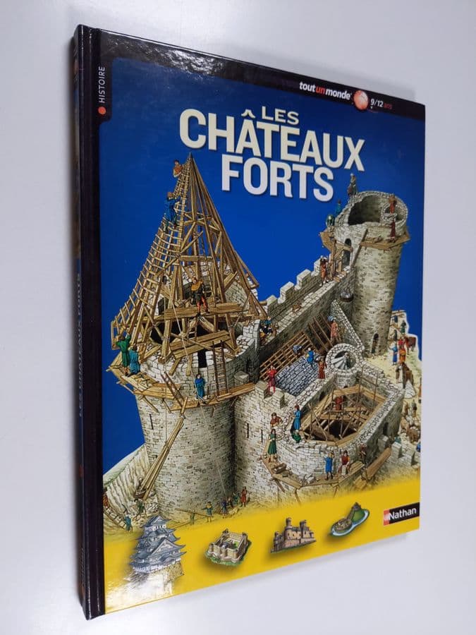 Agnés Vandewiéle ym. : Les châteaux forts