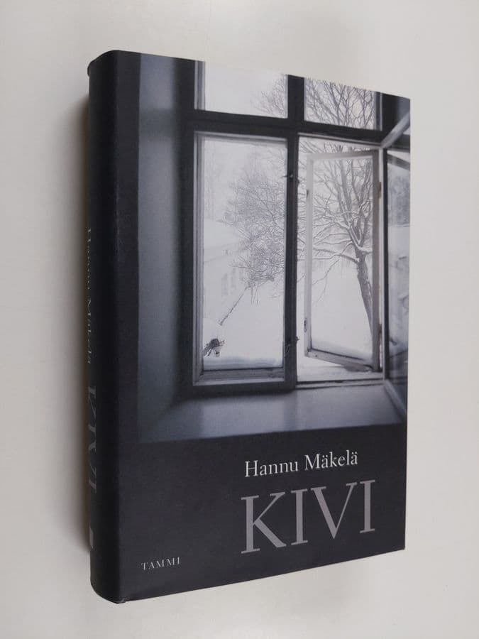 Hannu Mäkelä : Kivi : romaani