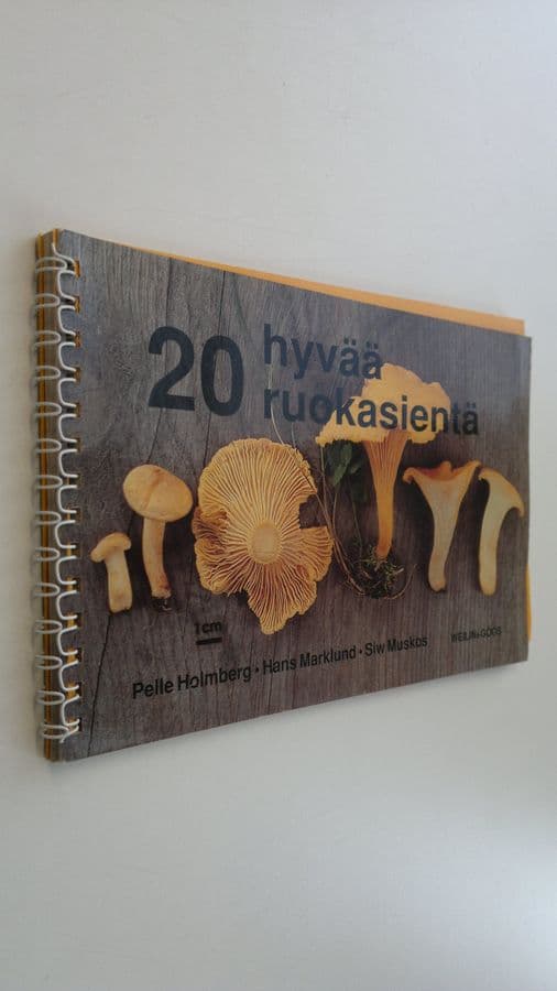 Pelle Holmberg : 20 hyvää ruokasientä