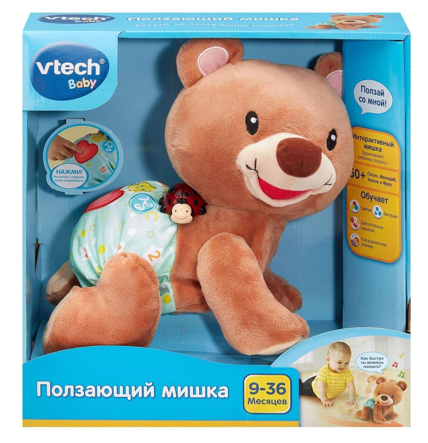 Crawl Along Bear interaktiivinen lelu vauvoille ja taaperoille