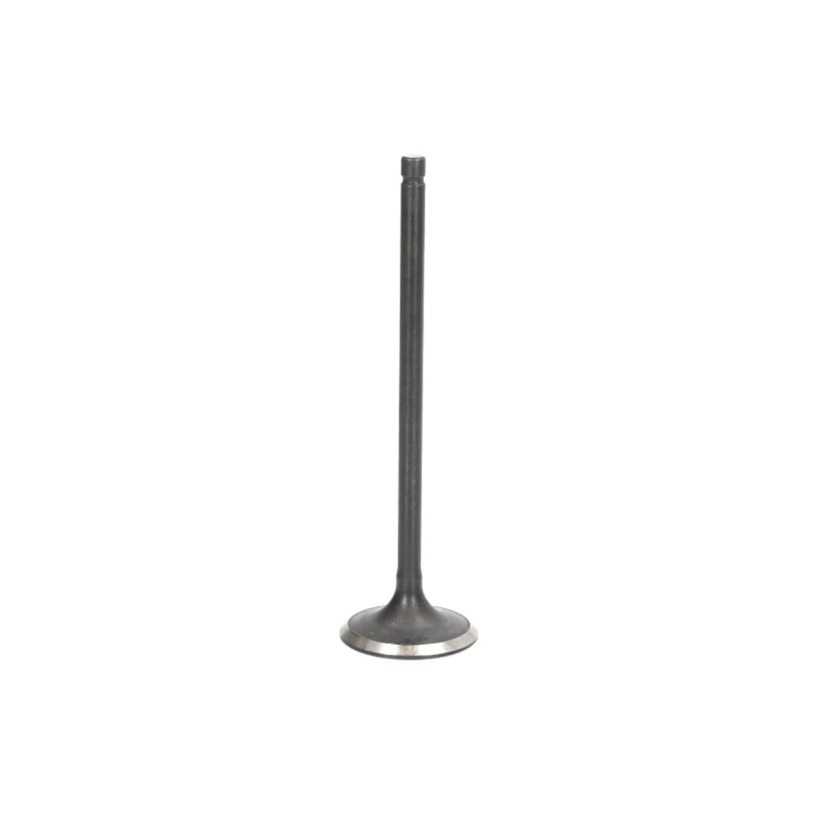 Pakoventtiili FRECCIA R4895/RNT