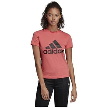 Lyhythihainen t-paita adidas Must Haves Badge OF Sport EU S