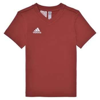 Lyhythihainen t-paita adidas ENT22 TEE Y 7 / 8 vuotta