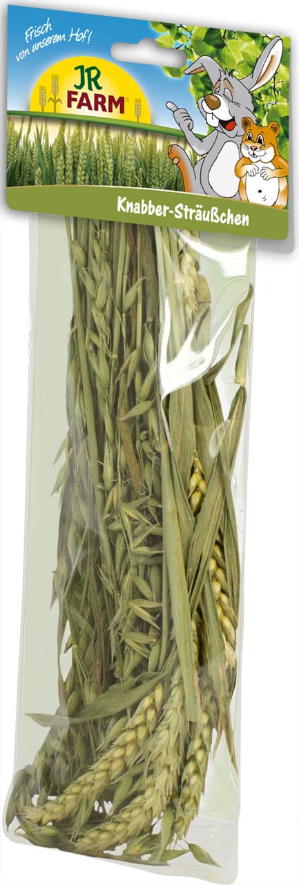 Jr. Farm Nibble Posy jyrsijän herkku 25g