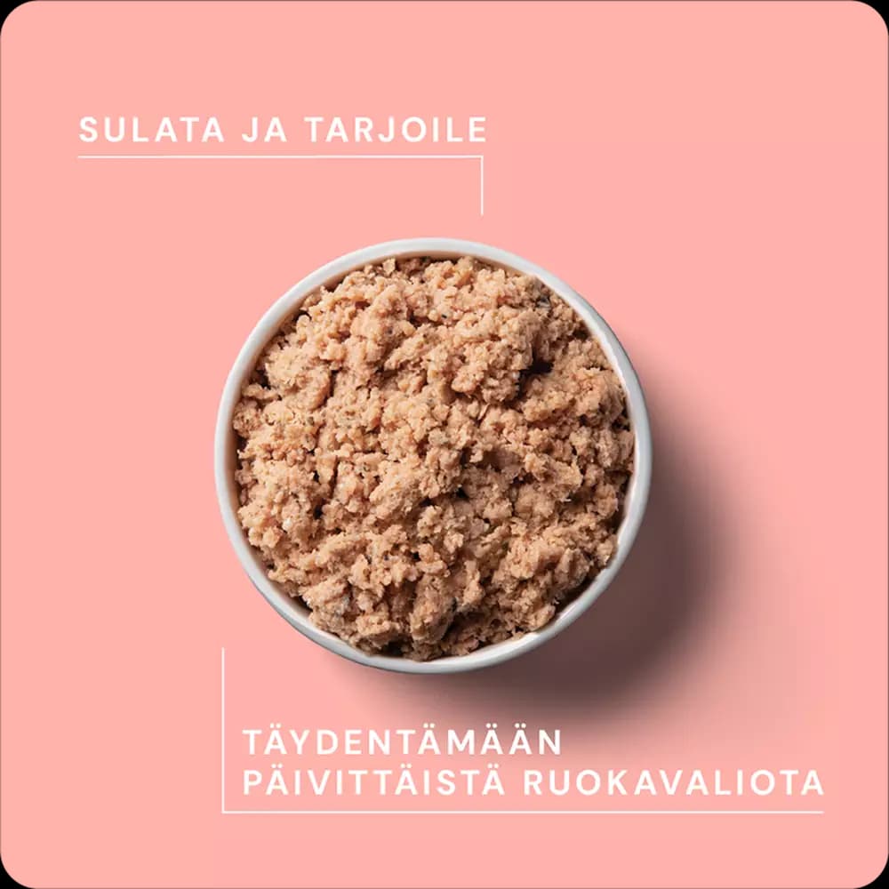 RAUH! Nutriment Lohi Salmon täydennysravinto kissoille ja koirille