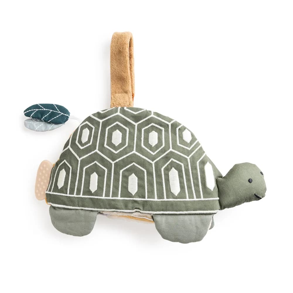 Sebra aktiviteettikirja Turbo the Turtle
